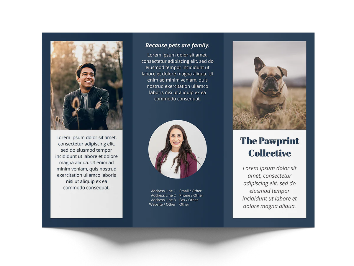 Tri-Fold Brochure - Image 3